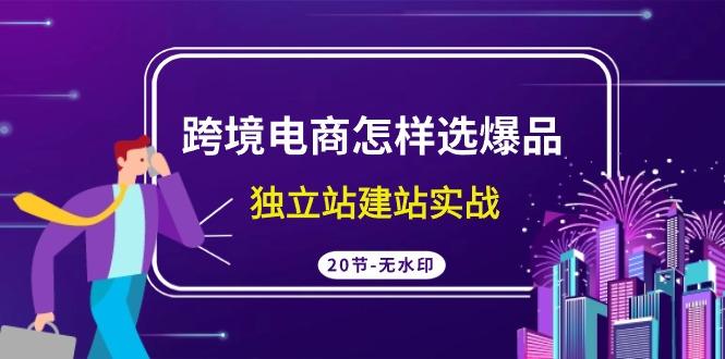 (9369期)跨境电商怎样选爆品，独立站建站实战(20节高清无水印课)-泱泱学习社