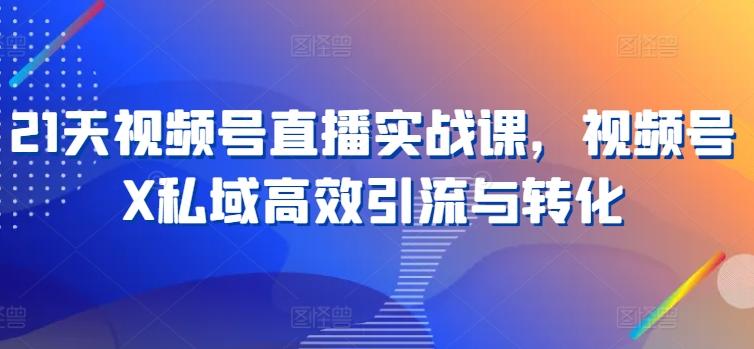 21天视频号直播实战课，视频号X私域高效引流与转化-泱泱学习社