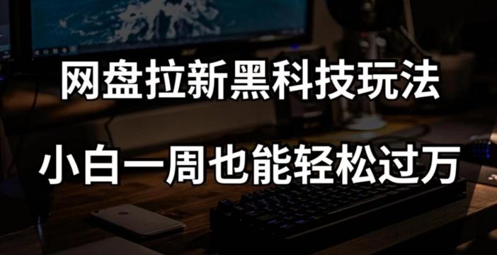 网盘拉新黑科技玩法，小白一周也能轻松过万【全套视频教程+黑科技】【揭秘】-泱泱学习社