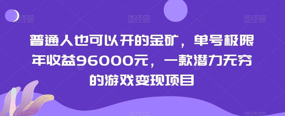 普通人也可以开的金矿，单号极限年收益96000元，一款潜力无穷的游戏变现项目【揭秘】-泱泱学习社