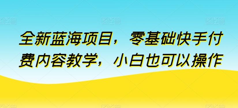 全新蓝海项目，零基础快手付费内容教学，小白也可以操作【揭秘】-泱泱学习社