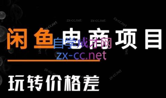 亿创繁星·闲鱼电商项目(玩转价格差)-泱泱学习社