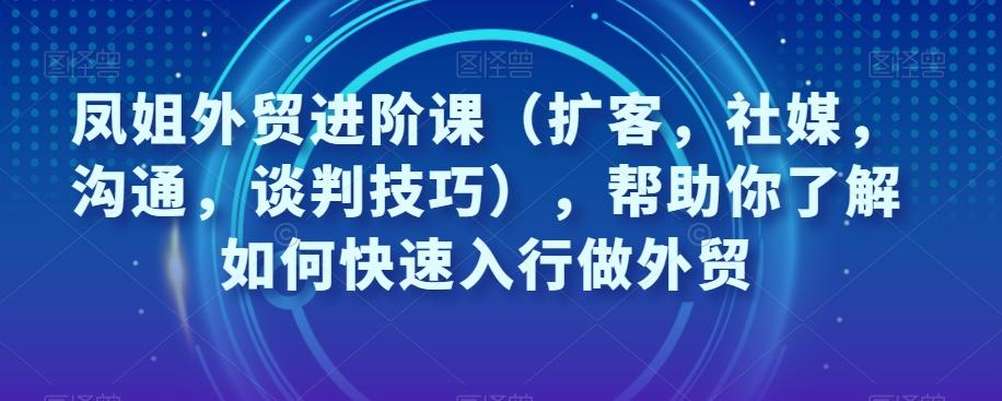 凤姐外贸进阶课（扩客，社媒，沟通，谈判技巧），帮助你了解如何快速入行做外贸-泱泱学习社