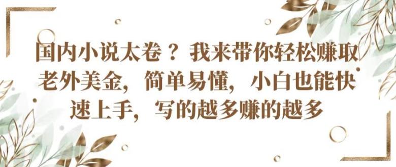 国内小说太卷 ?带你轻松赚取老外美金，简单易懂，小白也能快速上手，写的越多赚的越多【揭秘】-泱泱学习社
