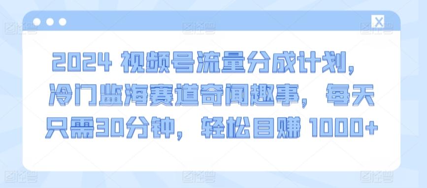 2024视频号流量分成计划，冷门监海赛道奇闻趣事，每天只需30分钟，轻松目赚 1000+【揭秘】-泱泱学习社