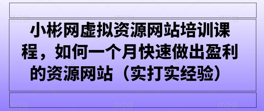 小彬网虚拟资源网站培训课程，如何一个月快速做出盈利的资源网站(实打实经验)-泱泱学习社