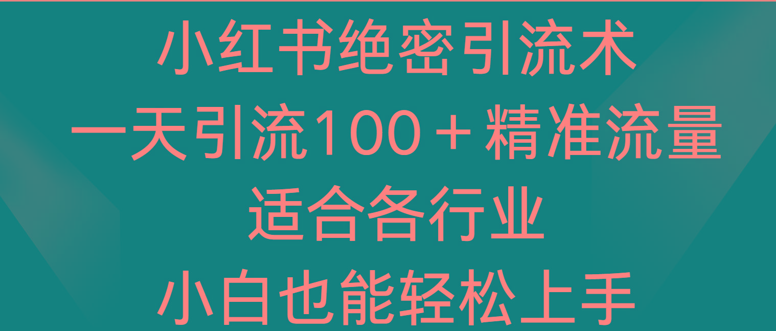 小红书绝密引流术，一天引流100＋精准流量，适合各个行业，小白也能轻松上手-泱泱学习社