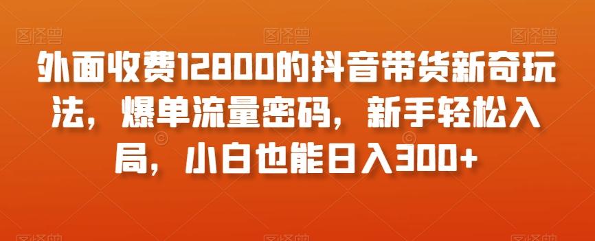 外面收费12800的抖音带货新奇玩法，爆单流量密码，新手轻松入局，小白也能日入300+【揭秘】-泱泱学习社
