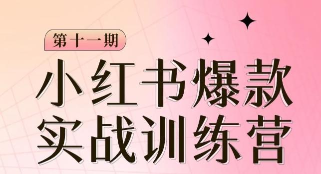 小红书博主爆款训练营第11期，手把手教你从0-1做小红书，从定位到起号到变现-泱泱学习社