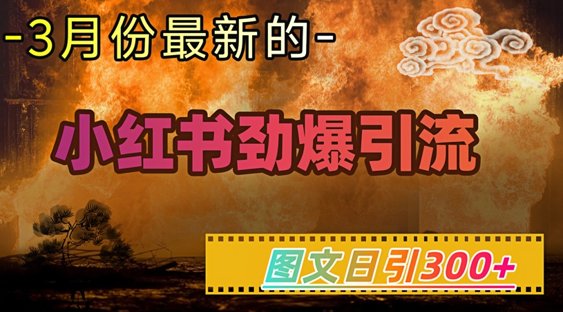 小红书超劲爆引流手段，图文日引300+轻松变现1W-泱泱学习社