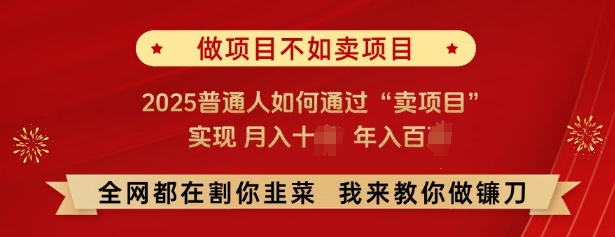 必看，做项目不如卖项目，2025普通人如何通过“卖项目”实现月入十个，年入百个-泱泱学习社