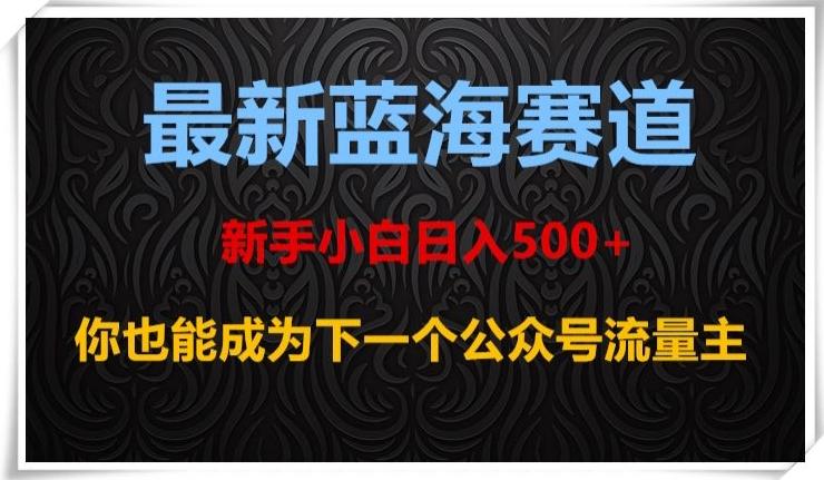最新蓝海赛道，新手小白日入500+，你也能成为下一个公众号流量主【揭秘】-泱泱学习社