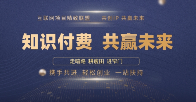 别人苦寻无果，为何他们靠知识付费卖项目 2025 年轻松年入100个?【揭秘】-泱泱学习社