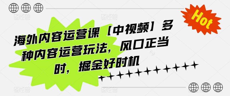 海外内容运营课【中视频】多种内容运营玩法，风口正当时，掘金好时机-泱泱学习社