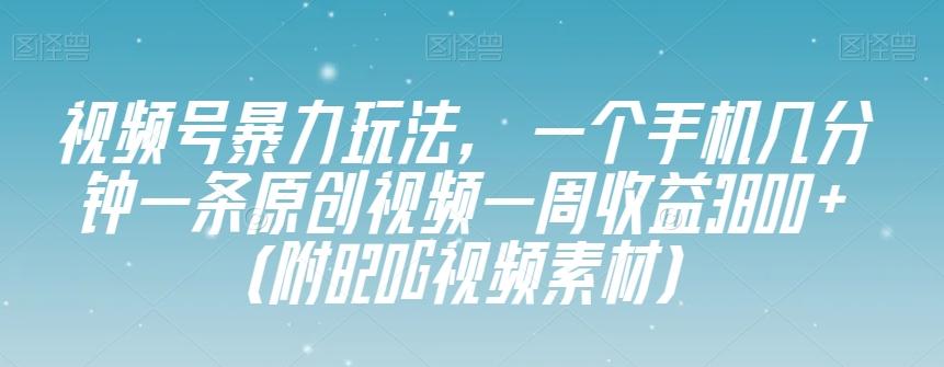 视频号暴力玩法，一个手机几分钟一条原创视频一周收益3800+（附820G视频素材）-泱泱学习社
