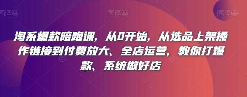 淘系爆款陪跑课，从0开始，从选品上架操作链接到付费放大、全店运营，教你打爆款、系统做好店-泱泱学习社