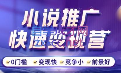 洲洲老师·小说推广快速变现营-泱泱学习社