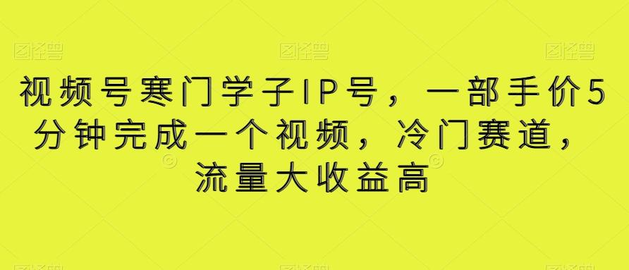 视频号寒门学子IP号，一部手价5分钟完成一个视频，冷门赛道，流量大收益高【揭秘】-泱泱学习社