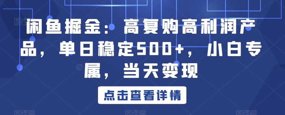 闲鱼掘金：高复购高利润产品，单日稳定500+，小白专属，当天变现-泱泱学习社