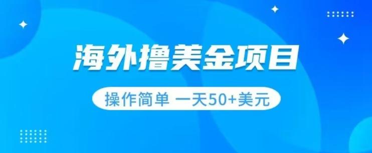 撸美金项目无门槛操作简单小白一天50+美刀-泱泱学习社