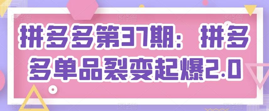 拼多多第37期：拼多多单品裂变起爆2.0-泱泱学习社