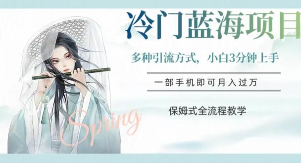 冷门蓝海项目，操作简单，小白3分钟上手，多种引流方式，保姆式全流程教学【揭秘】-泱泱学习社