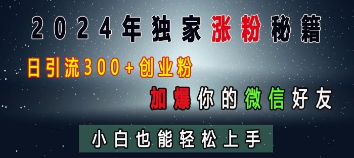 2024年独家涨粉秘籍，日引流300+创业粉，加爆你的微信好友，小白也能轻松上手-泱泱学习社