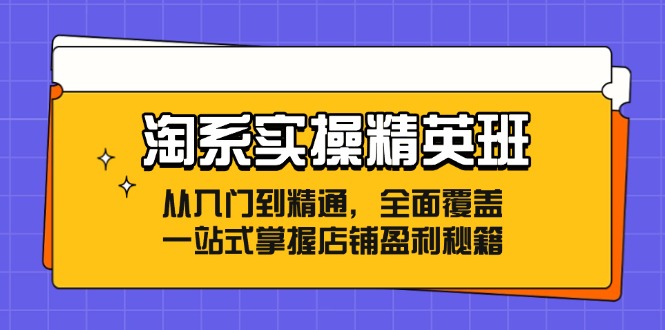 淘系实操精英班：从入门到精通，全面覆盖，一站式掌握店铺盈利秘籍-泱泱学习社