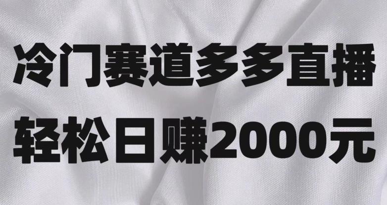 冷门赛道拼多多直播，简单念稿子，日收益2000＋【揭秘】-泱泱学习社