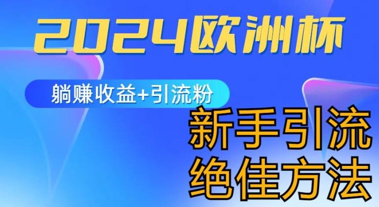 2024欧洲杯风口的玩法及实现收益躺赚+引流粉丝的方法，新手小白绝佳项目【揭秘】-泱泱学习社