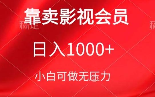 靠卖影视会员，日入1000+，落地保姆级教程，新手可学【揭秘】-泱泱学习社