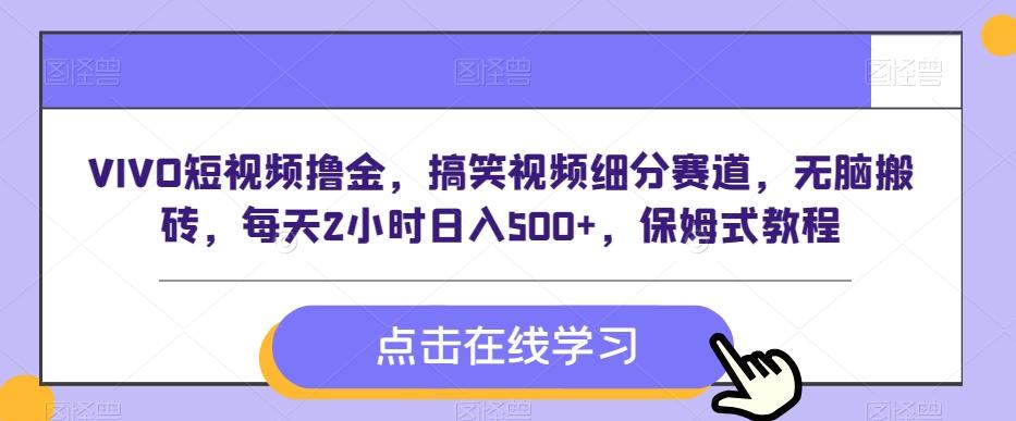 VIVO短视频撸金，搞笑视频细分赛道，无脑搬砖，每天2小时日入500+，保姆式教程-泱泱学习社