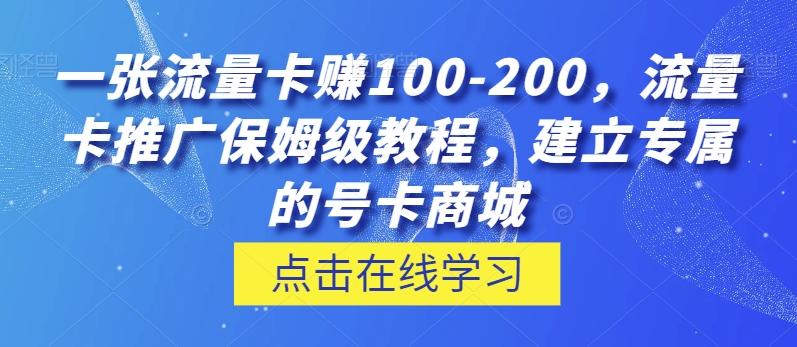 一张流量卡赚100-200，流量卡推广保姆级教程，建立专属的号卡商城-泱泱学习社