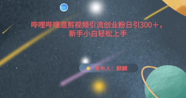 哔哩哔哩混剪视频引流创业粉日引300+，新手小白轻松上手【揭秘】-泱泱学习社