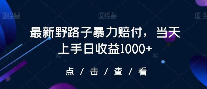 最新野路子暴力赔付，当天上手日收益1000+【仅揭秘】-泱泱学习社