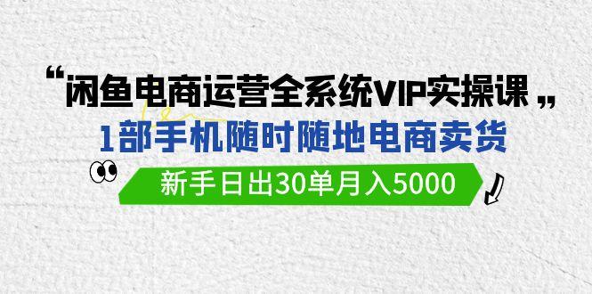 (9547期)闲鱼电商运营全系统VIP实战课，1部手机随时随地卖货，新手日出30单月入5000-泱泱学习社