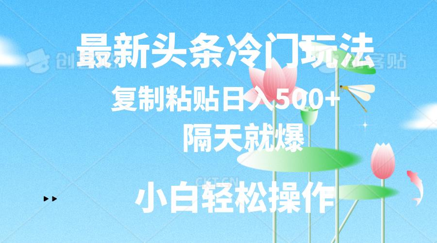 最新头条冷门玩法，隔天就爆，复制粘贴日入500+-泱泱学习社