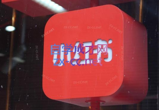 伊伊·红薯【高级班】运营课-泱泱学习社