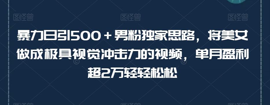 暴力日引500＋男粉独家思路，将美女做成极具视觉冲击力的视频，单月盈利超2万轻轻松松-泱泱学习社