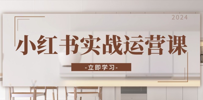 小红书实战运营课：从开通店铺到直播话术，打造爆款笔记与高效直播-泱泱学习社