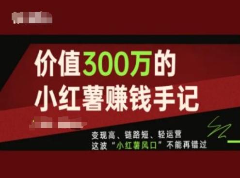价值300万的小红书赚钱手记，变现高、链路短、轻运营，这波“小红薯风口”不能再错过-泱泱学习社