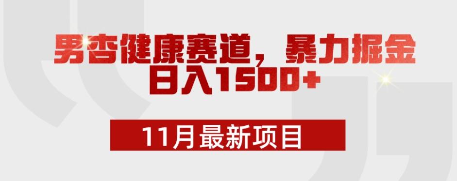 11月最新项目，男杏健康赛道，暴力掘金，日入1500+-泱泱学习社