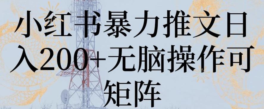 小红书暴力推文日入200+无脑操作可矩阵【揭秘】-泱泱学习社