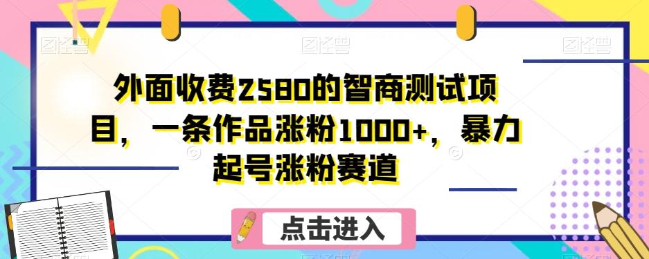 外面收费2580的智商测试项目，一条作品涨粉1000+，暴力起号涨粉赛道【揭秘】-泱泱学习社
