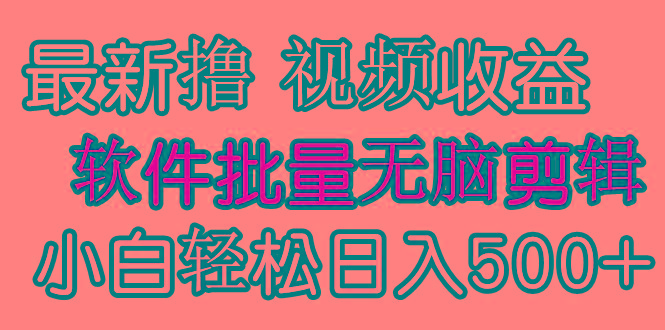 (9569期)发视频撸收益，软件无脑批量剪辑，第一天发第二天就有钱-泱泱学习社