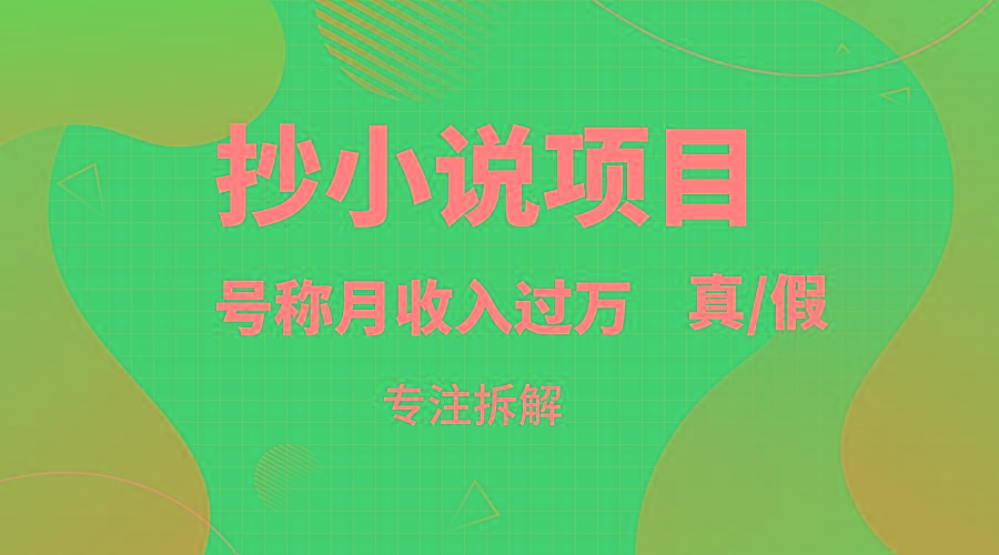 抄小说项目，号称月入过万，到底是否真实，能不能做，详细拆解-泱泱学习社