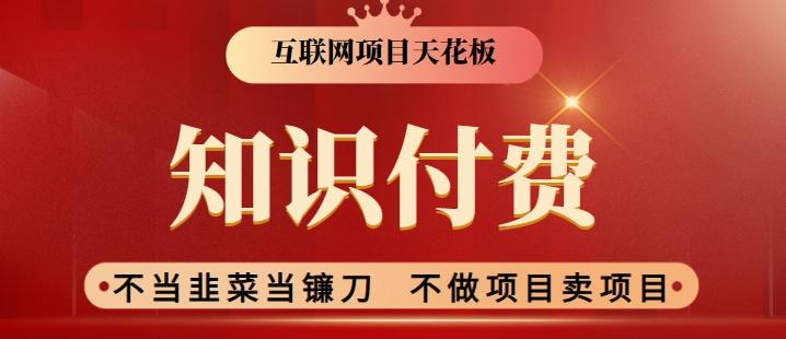 2024互联网项目天花板，新手小白也可以通过知识付费月入10W，实现财富自由【揭秘】-泱泱学习社