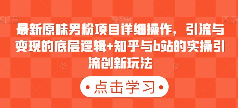 最新原味男粉项目详细操作，引流与变现的底层逻辑+知乎与b站的实操引流创新玩法-泱泱学习社