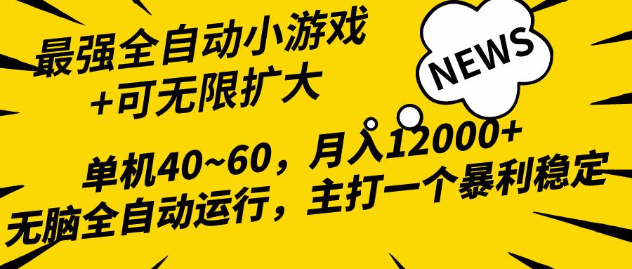 (10046期)2024最新全网独家小游戏全自动，单机40~60,稳定躺赚，小白都能月入过万-泱泱学习社