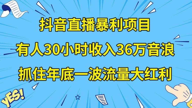 抖音直播暴利项目，有人30小时收入36万音浪，公司宣传片年会视频制作，抓住年底一波流量大红利【揭秘】-泱泱学习社